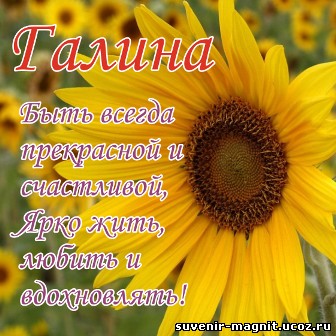 Открытка открытки с именем Галина  - Яркая открытка с подсолнухом | Красивая открытка #6
