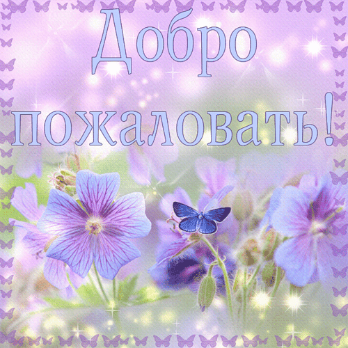 Открытка Открытки добро пожаловать - Открытка с фиалками и бабочкой | Красивая открытка #49