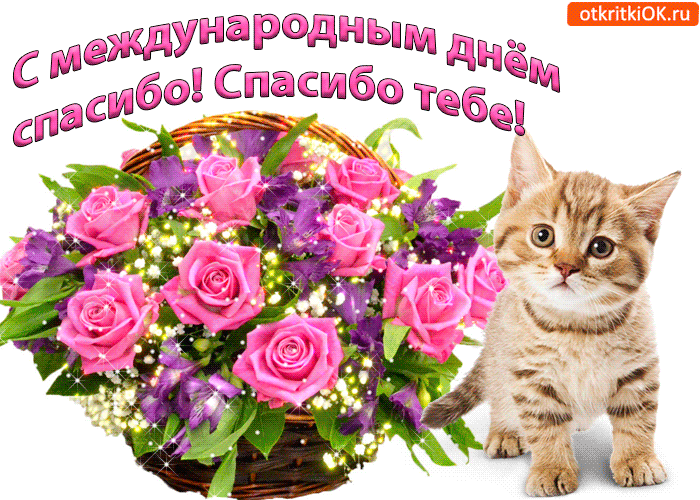 Открытка День спасибо - Открытка с котенком и цветами | Красивая открытка #62
