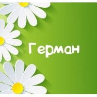 Открытка открытки с именем Герман - Открытка с ромашками на зеленом фоне | Красивая открытка #18