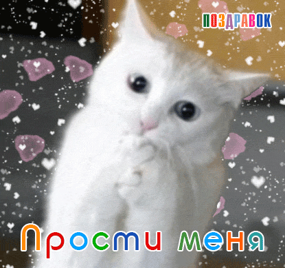 Открытка открытки с извинениями  - Открытка с милым котенком и сердечками | Красивая открытка #162