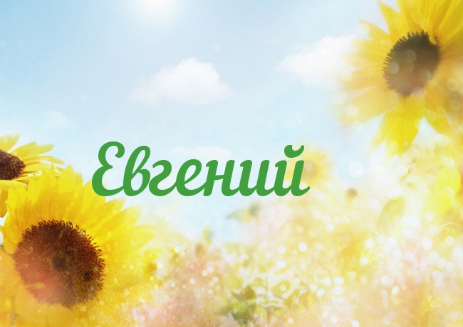 Открытка открытки с именем Евгений - Открытка с подсолнухами на фоне голубого неба | Красивая открытка #179