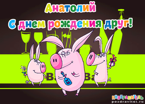 Открытка открытки с именем Анатолий - Поздравительная открытка с поросятами и шампанским | Красивая открытка #81