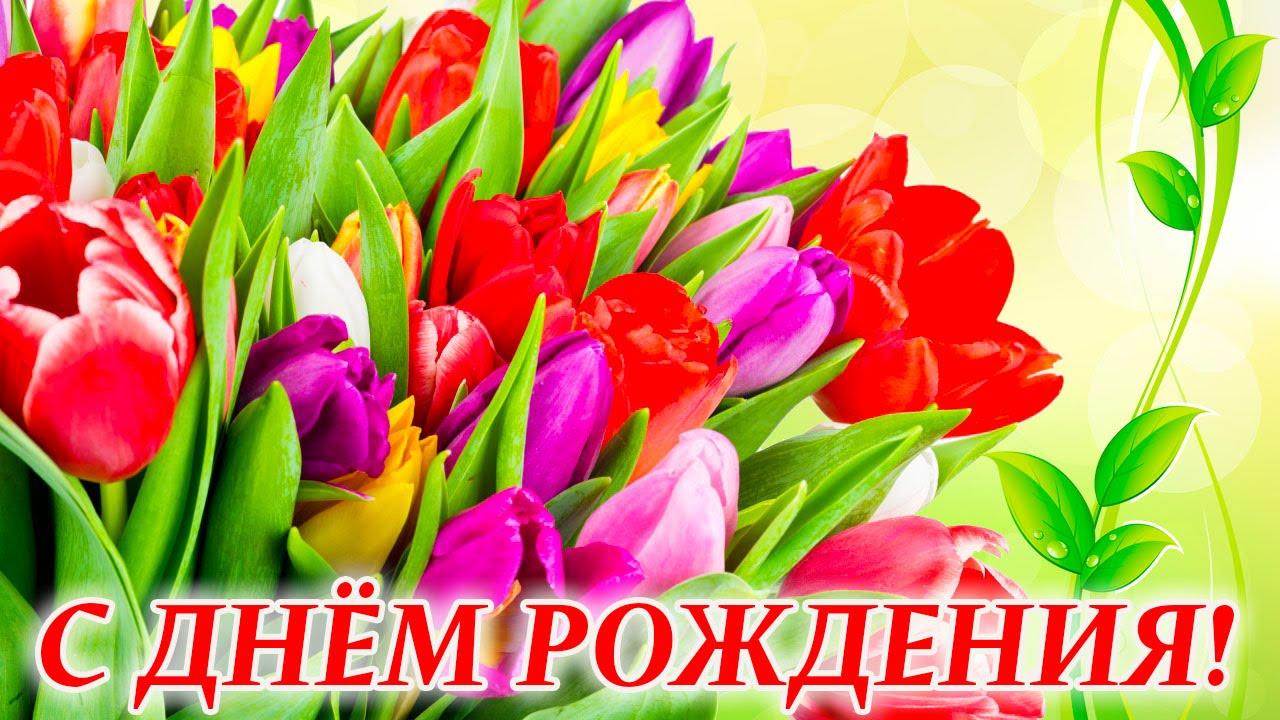 Открытка открытки с тюльпанами на день рождения - Букет тюльпанов: поздравления с днем рождения | Красивая открытка #7