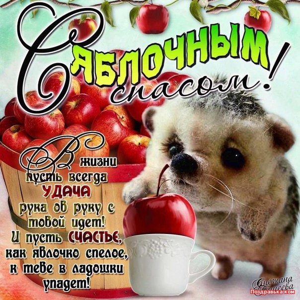 Открытка открытки на яблочный спас  - Открытка с котенком и яблоками: С Днем рождения! | Красивая открытка #20