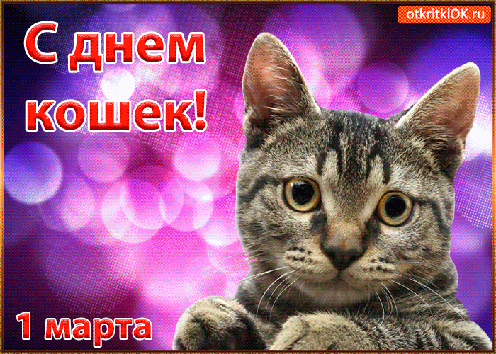 Открытка С Всемирным днём кошек - Открытка С Днём 1 Марта: Весенняя Кошка | Красивая открытка #12