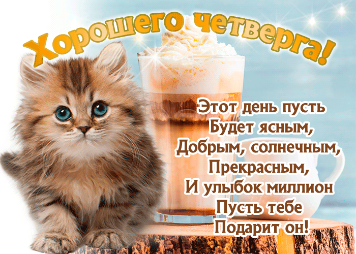 Открытка Открытки на четверг - Открытка с котенком и пивом: С Днем Рождения! | Красивая открытка #26