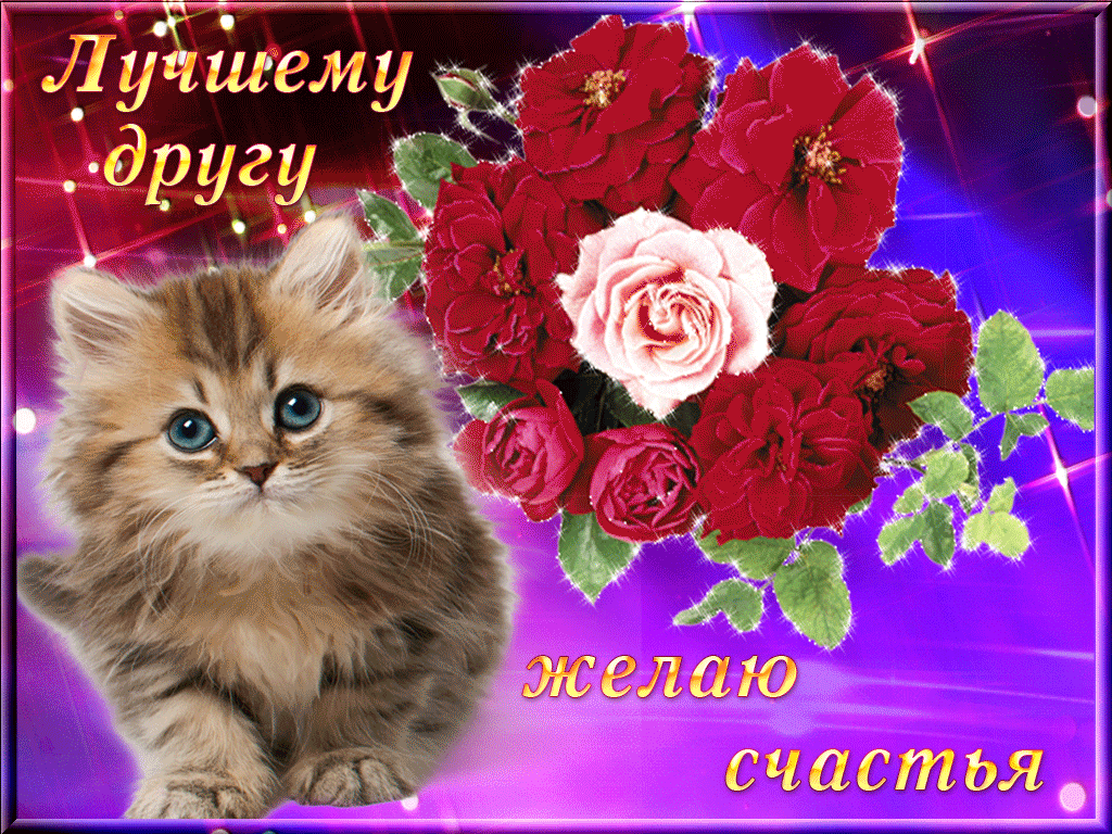 Открытка С пожеланиями другу/подруге - Открытка с котенком и розами | Красивая открытка #3
