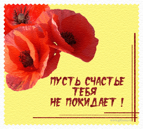 Открытка Открытки желаю счастья - Открытка с красным маком. Поздравление. | Красивая открытка #26
