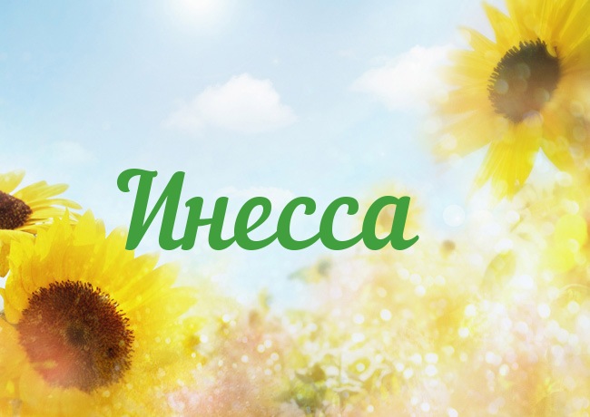 Открытка открытки с именем Инесса - Открытка с подсолнухами на фоне голубого неба | Красивая открытка #16
