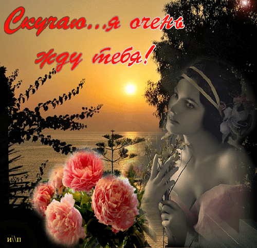 Открытка Скучаю - Открытка с девушкой и цветами на закате | Красивая открытка #189