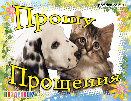 Открытка открытки с извинениями  - Открытка с котенком и щенком  Поздравления с днем рождения | Красивая открытка #44