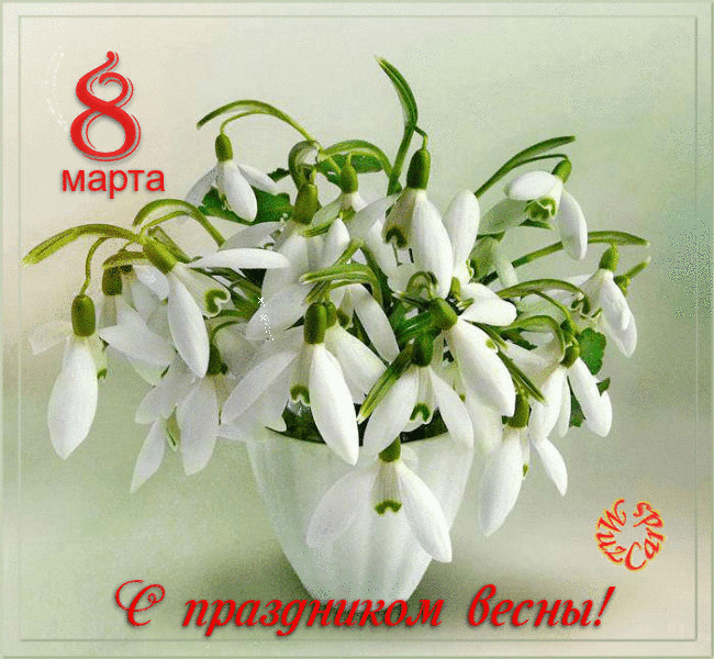 Открытка 8 марта - Открытка: Подснежники  первые весенние цветы | Красивая открытка #41