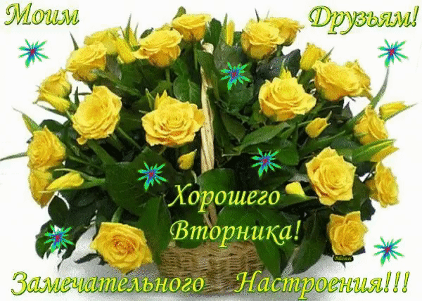 Открытка Открытки на вторник - Желтые розы в плетеной корзине - открытка | Красивая открытка #208