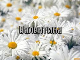 Открытка Открытки с именем Валентина  - Поле ромашек: открытка с цветами | Красивая открытка #9