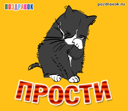 Открытка открытки с извинениями  - Забавная открытка с чёрным котенком. | Красивая открытка #81