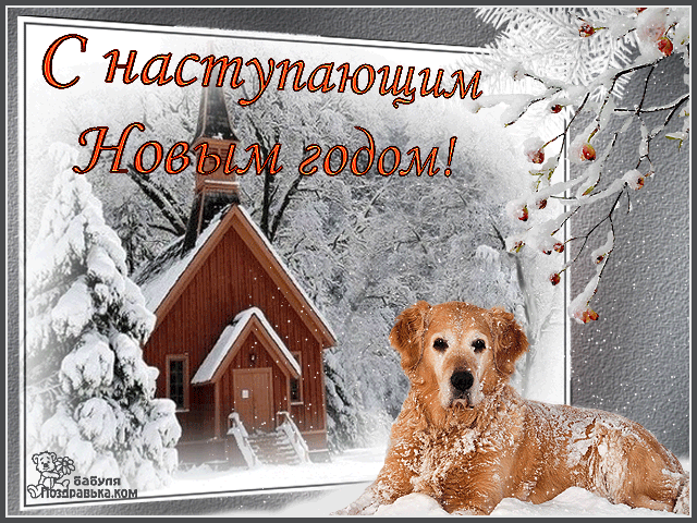 Открытка Открытки с наступающим Новым Годом - Открытка с собакой и домом в снегу | Красивая открытка #36
