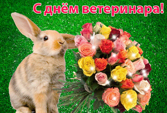 Открытка Открытки с днем ветеринара - Заяц с цветами: открытка, фото, букет | Красивая открытка #34