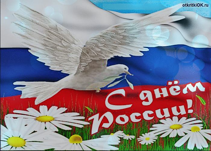 Открытка День России - Открытка с днем России: голубь на фоне флага | Красивая открытка #53