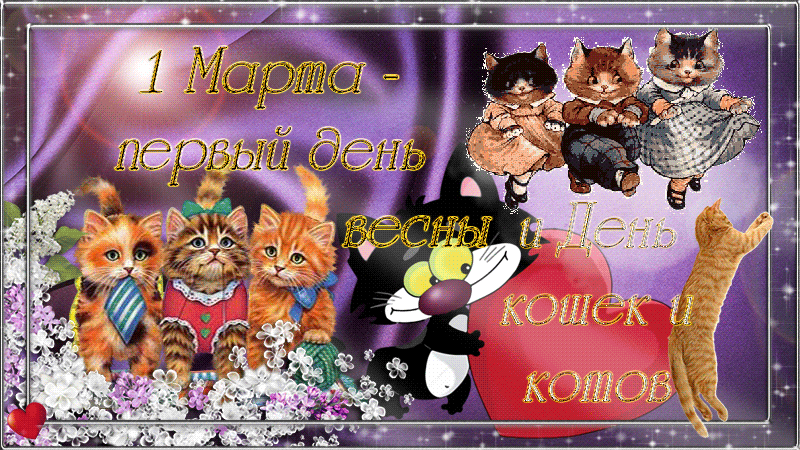 Открытка Открытки с днем кошек - Открытка котиков: С Днем 1 марта! | Красивая открытка #1