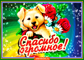 Открытка Благодарность - Открытка с щенком и цветами | Красивая открытка #116