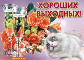 Открытка Открытки хороших выходных - Открытка с котенком и шампанским | Красивая открытка #182