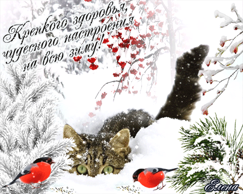 Открытка Крепкого здоровья - Открытка с котиком и снежинками | Красивая открытка #12