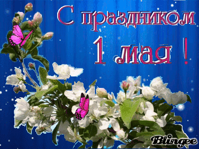 Открытка 1 мая - Открытка с цветами и бабочкой  С праздником! | Красивая открытка #164