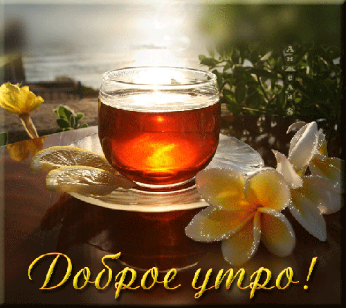 Открытка Доброе утро - Открытка с чашкой чая и цветами на фоне моря | Красивая открытка #96