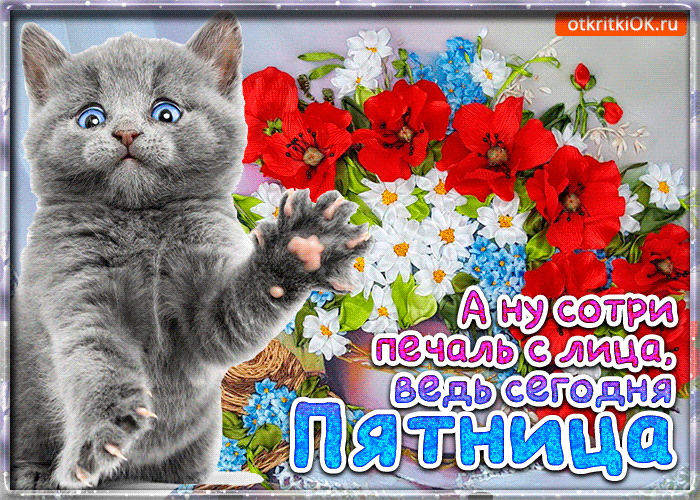 Открытка Пятница - Котенок с цветами: открытка с милым котенком | Красивая открытка #13