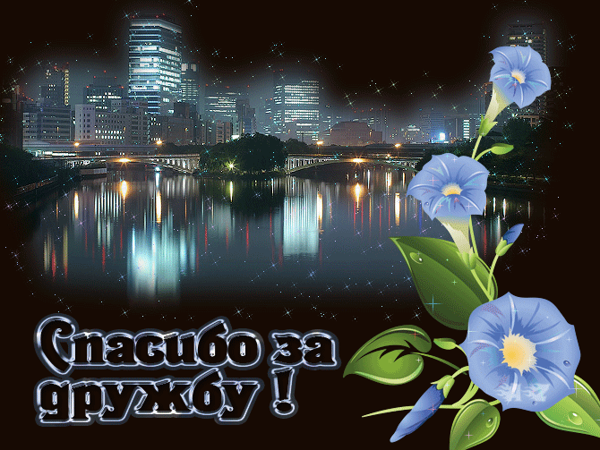 Открытка Открытки о дружбе - Вид города ночью, цветы | Красивая открытка #209