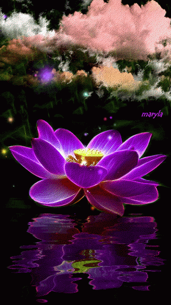 Открытка С лотосом - Фиолетовый Лотос: Красивая Открытка с Цветком | Красивая открытка #42
