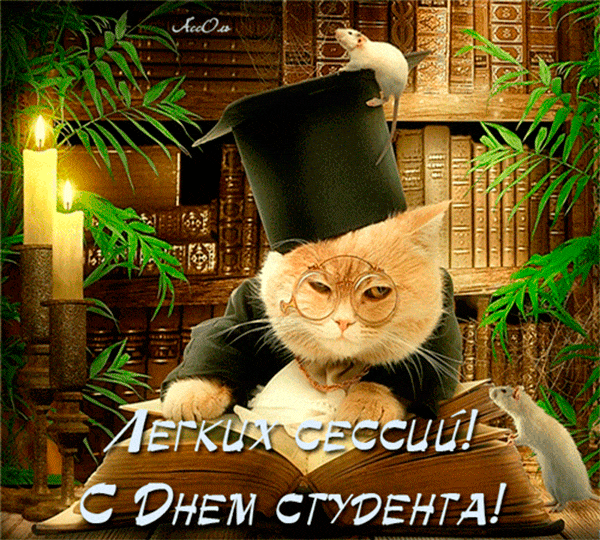 Открытка День студента - Поздравление с Днем студента: кот в шапке и очках | Красивая открытка #66