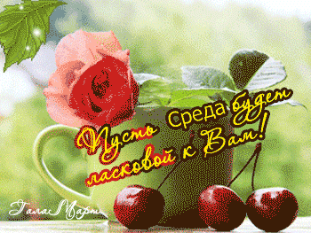 Открытка Открытки на среду - Открытка с розой и вишней | Красивая открытка #170