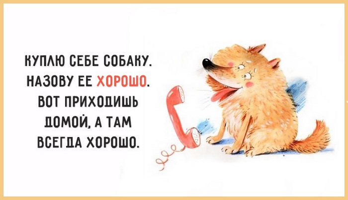 Открытка Открытки с приколами на каждый день - Открытка с милым щенком и телефоном | Красивая открытка #6