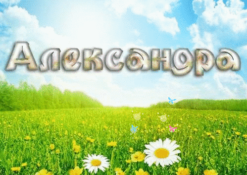 Открытка Открытки с именем Александра - Поле с цветами и летний пейзаж | Красивая открытка #41