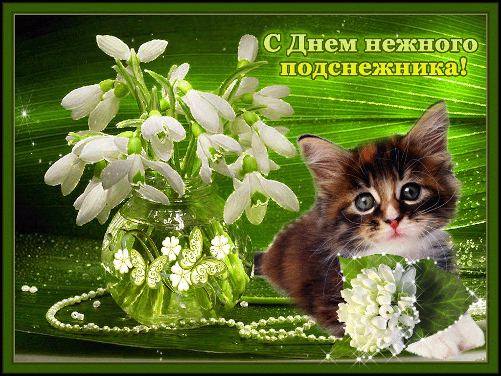 Открытка День подснежника - Открытка: Котенок и подснежники  Весеннее поздравление | Красивая открытка #14