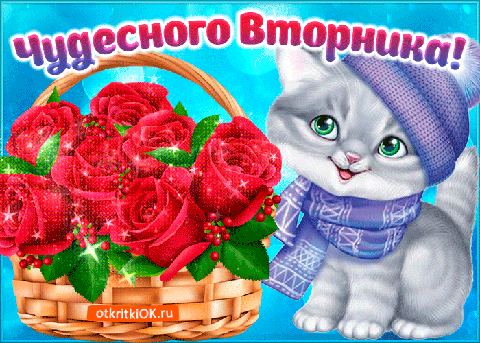 Открытка Открытки на вторник - Открытка с котенком и цветами | Красивая открытка #7