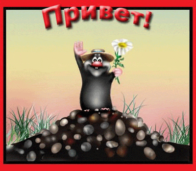Открытка Привет - Открытка с милым кротом и цветком | Красивая открытка #137