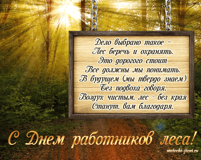 Открытка С днём работника леса - С Днём лесовода! Открытка с лесом и солнцем | Красивая открытка #3