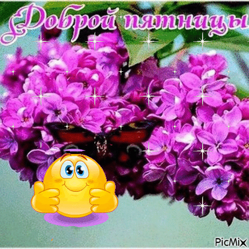 Открытка С сиренью - Пушистые фиалки: открытка с цветами | Красивая открытка #18