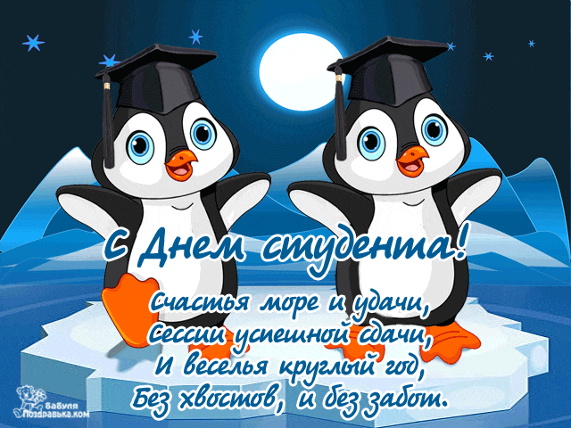 Открытка Открытки с днем студента - С Днём студента: смешные пингвины с дипломами | Красивая открытка #22