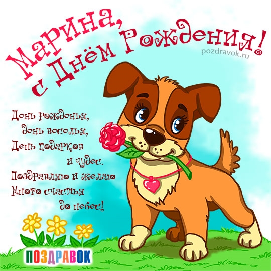 Открытка открытки с именем Марина - Открытка с щенком на день рождения  Поздравления | Красивая открытка #13