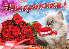 Открытка С вторником - Открытка с котенком и розами | Красивая открытка #41