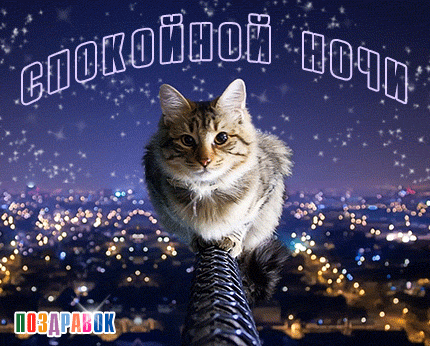 Открытка Спокойной ночи - Котенок на фоне ночного города: открытка с поздравлением | Красивая открытка #179