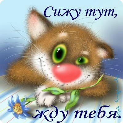 Открытка Я скучаю  - Открытка с милым котенком и синим цветком | Красивая открытка #8