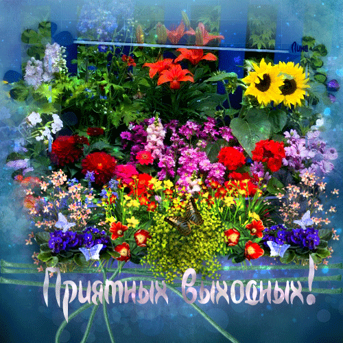 Открытка Открытки хорошего отдыха - Яркая открытка с цветами и бабочками | Красивая открытка #236