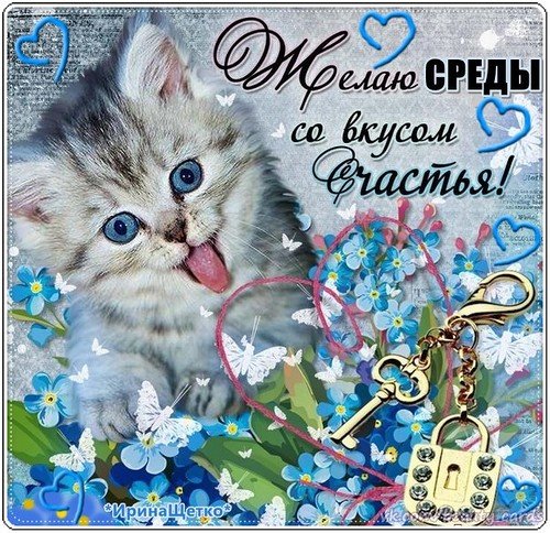 Открытка Среда - Открытка с котенком: милый подарок с цветами и ключами | Красивая открытка #82