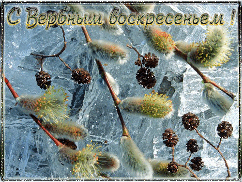 Открытка Вербное Воскресенье - Верба на льду: праздничная открытка с ивочками | Красивая открытка #154