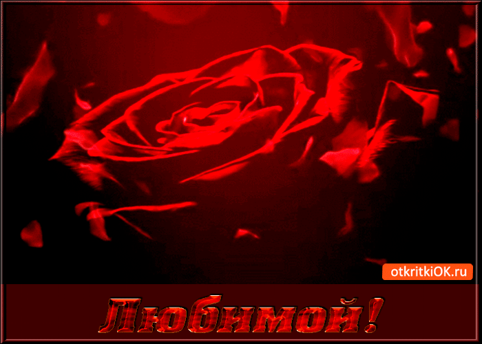 Открытка Для любимой - Открытка с красной розой | Красивая открытка #31